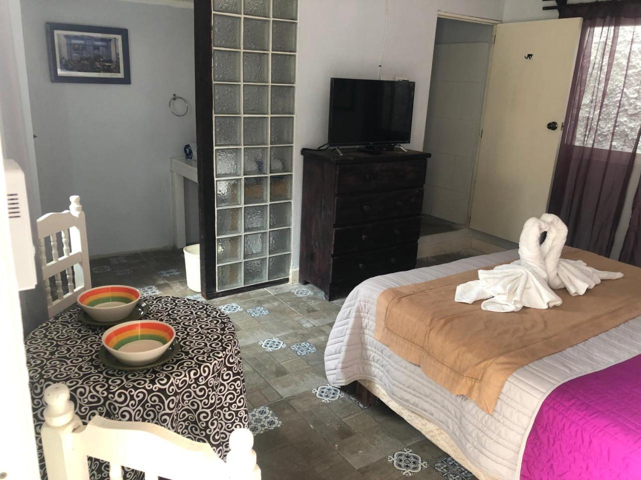פלאייה דל כרמן Coral Suites מראה חיצוני תמונה