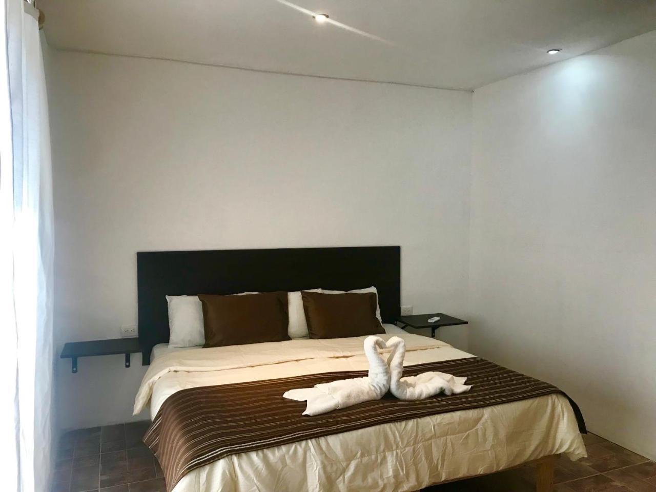 פלאייה דל כרמן Coral Suites מראה חיצוני תמונה