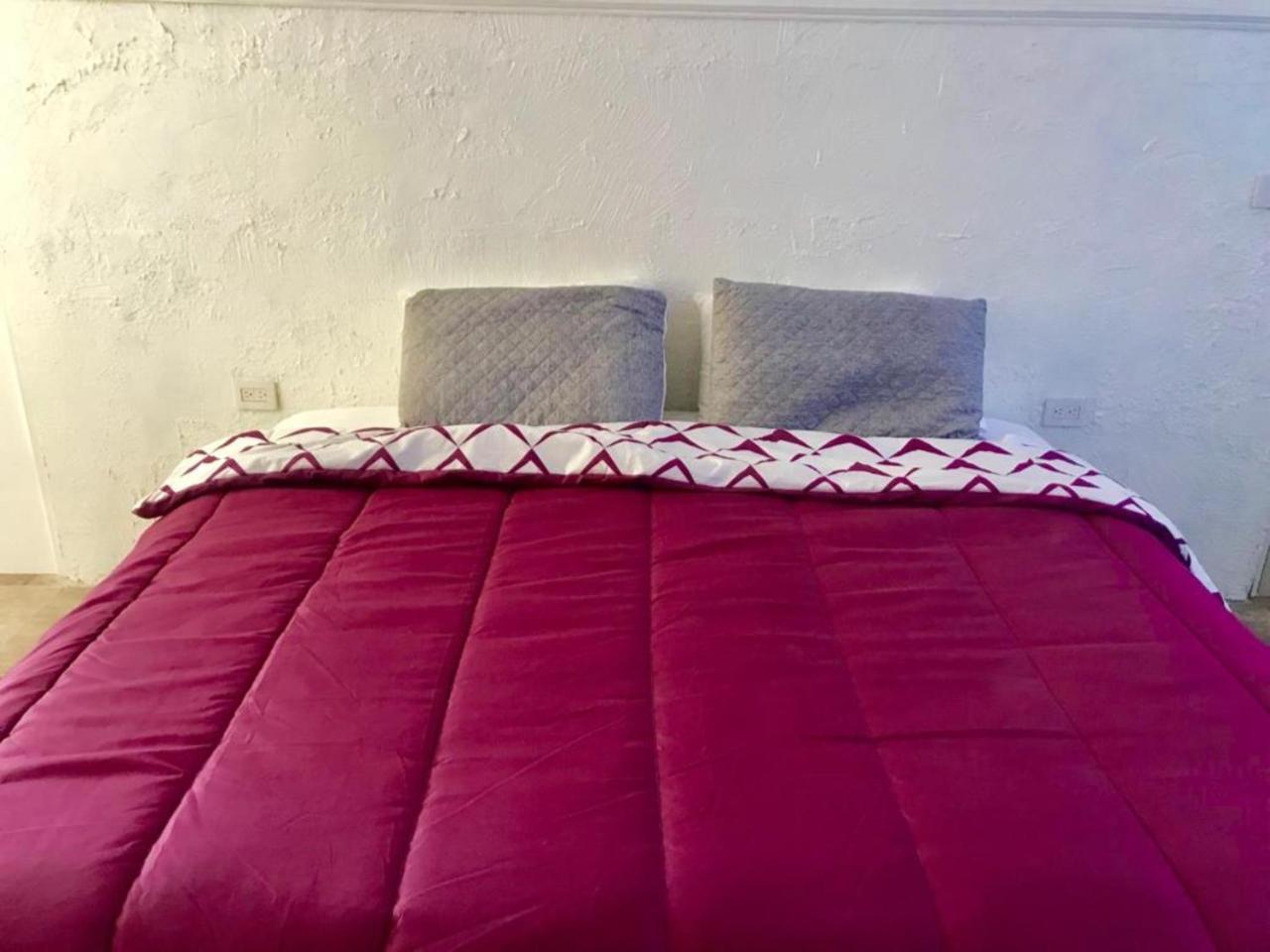 פלאייה דל כרמן Coral Suites מראה חיצוני תמונה